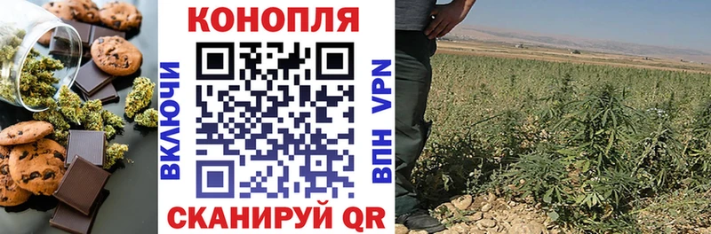 Cannafood марихуана  Купить  Нефтегорск 