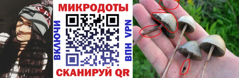 Купить закладки  Нефтегорск  Галлюциногенные грибы ЛСД 